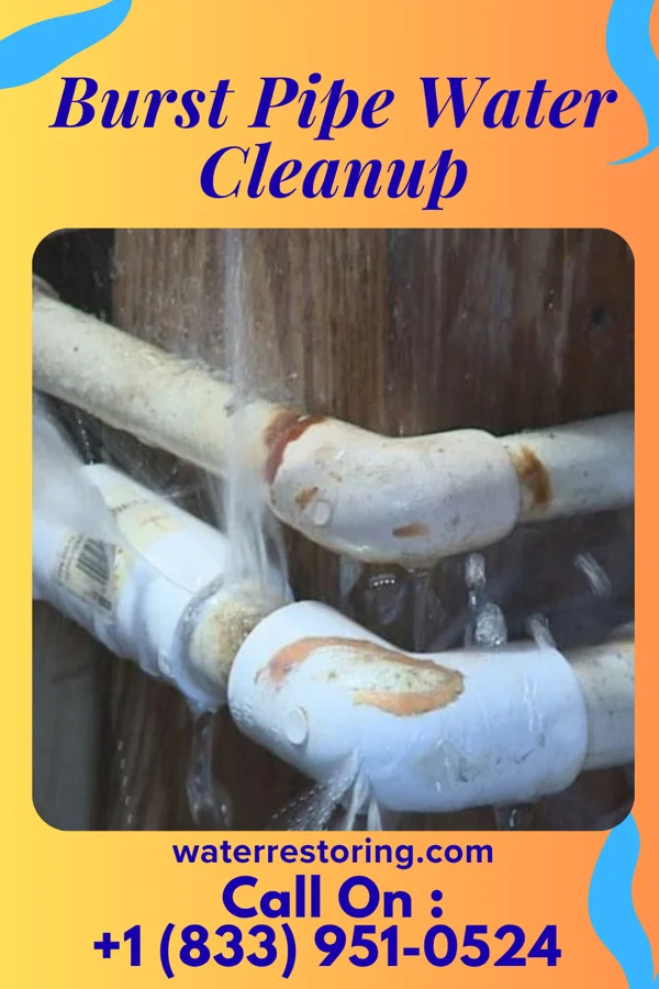 Burst Pipe Water Cleanup in Crandon Lakes, NJ