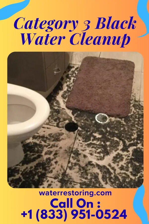 Category 3 Black Water Cleanup in Crandon Lakes, NJ