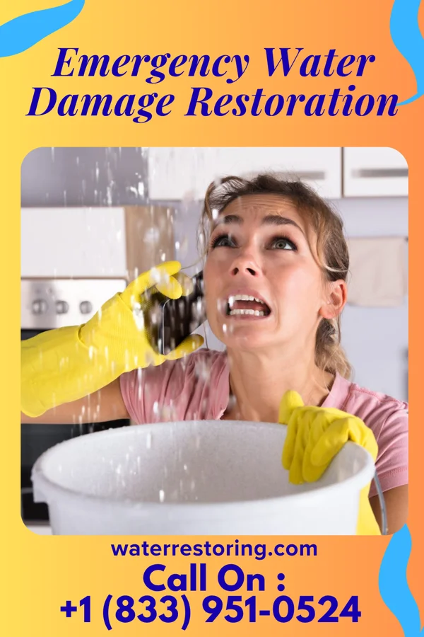 Emergency Water Damage Restoration in Crandon Lakes, NJ