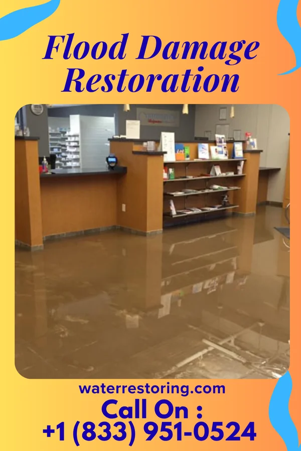 Flood Damage Restoration in Crandon Lakes, NJ