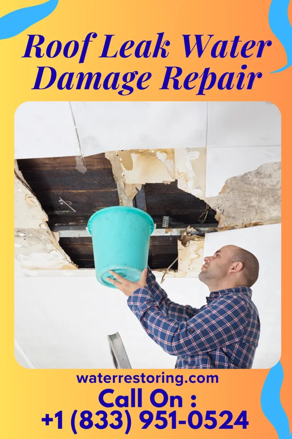 Roof Leak Water Damage Repair in Crandon Lakes, NJ
