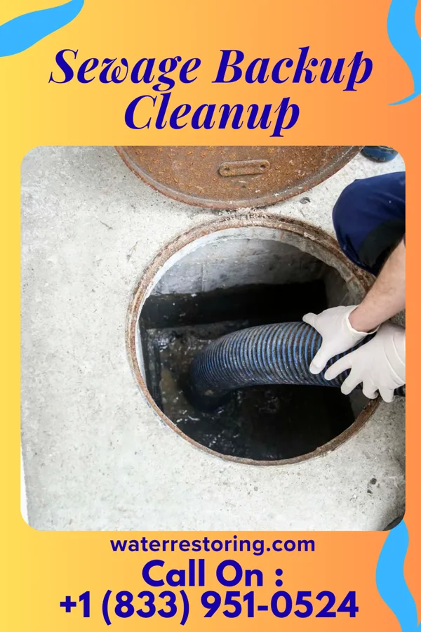 Sewage Backup Cleanup in Crandon Lakes, NJ
