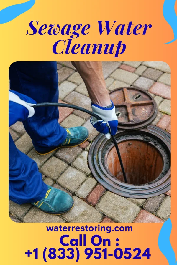 Sewage Water Cleanup in Crandon Lakes, NJ