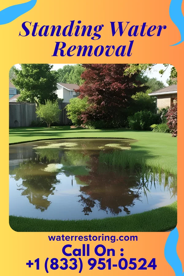 Standing Water Removal in Crandon Lakes, NJ